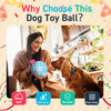 Sky Blue Dog Soccer Ball with Bell & Straps | Large Dogs – 8 inch