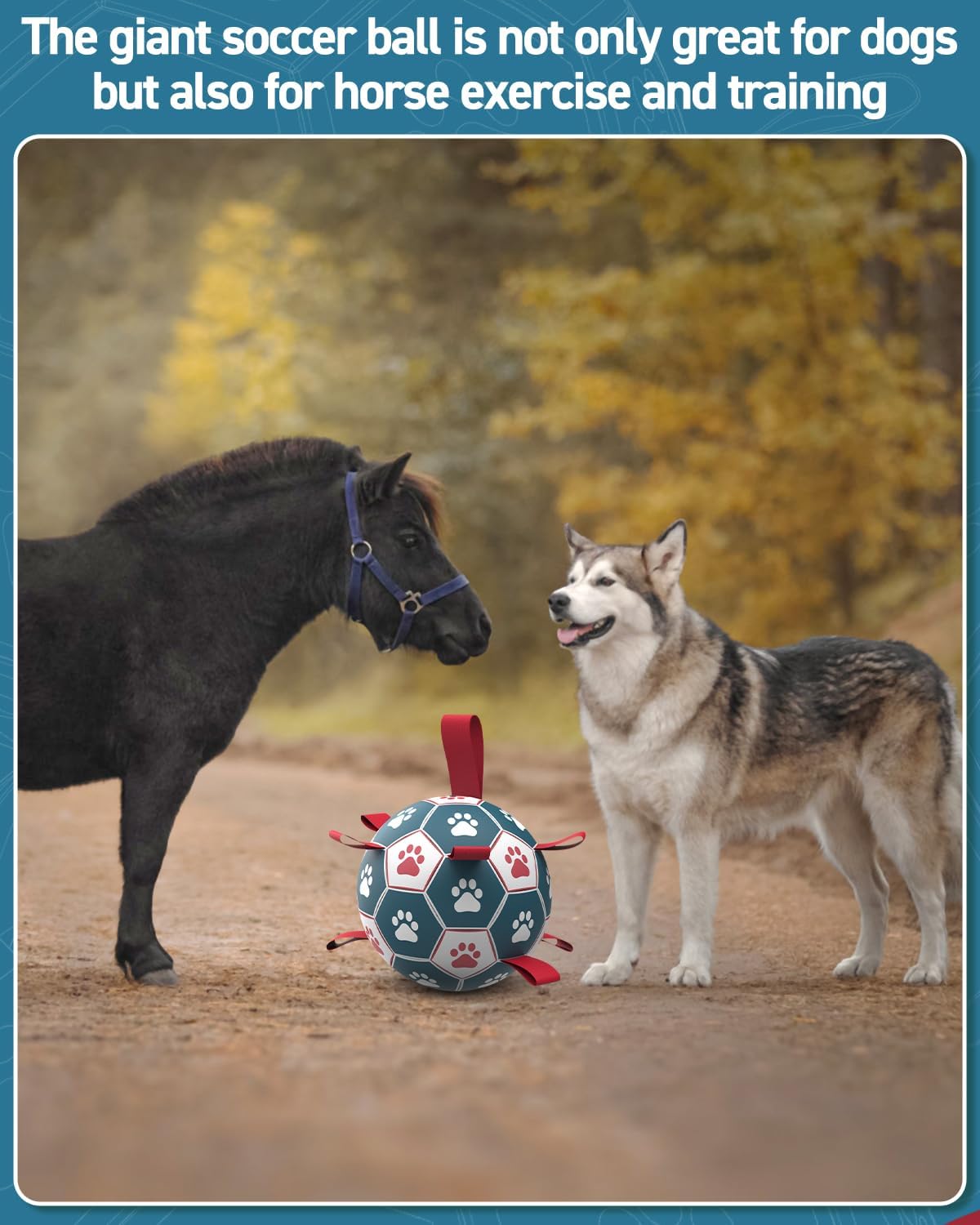 QDAN Dog Toys Soccer Ball with Straps - Durable Giant Dog Balls, Outdoor & Water Toys, Herding Ball, Birthday Gifts (10 Inch)