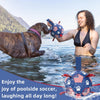 Navy Bue Dog Soccer Ball with Straps | Small Dogs - 5 inch