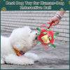 Red Green Christmas Bell Dog Soccer Ball with Straps | Large Dogs – 8 inch