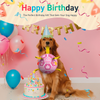 Pink Birthday Dog Soccer Ball with Bell & Straps | Large Dogs – 8 inch