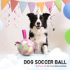 Gradient Rainbow Dog Soccer Ball with Straps | Large Dogs – 8 inch