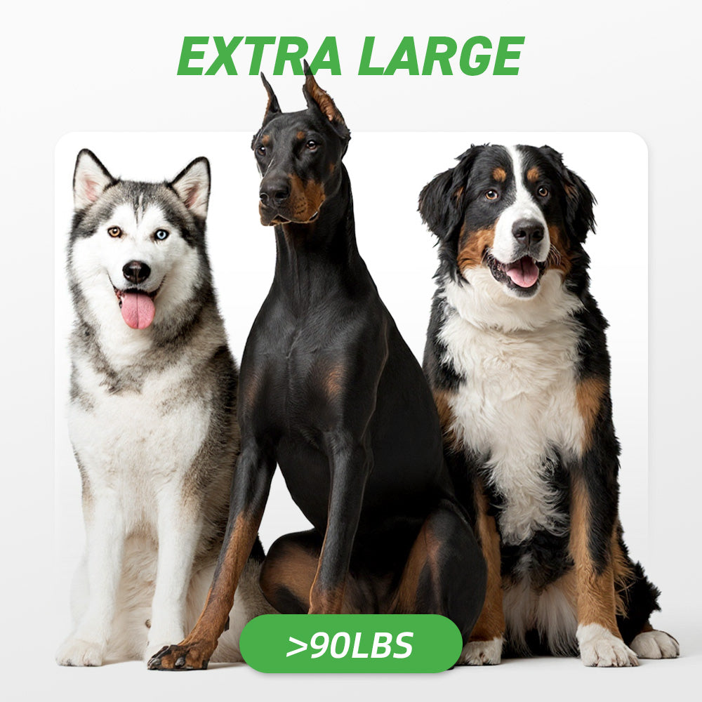 Extra Large Dogs: 90+ lbs