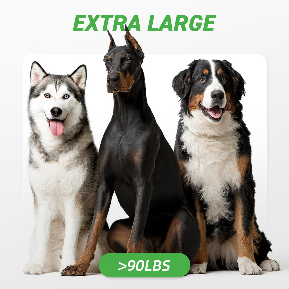 Extra Large Dogs: 90+ lbs