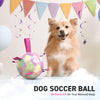 Gradient Rainbow Dog Soccer Ball with Straps | Medium Dogs – 6 inch