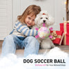 Gradient Rainbow Dog Soccer Ball with Straps | Small Dogs – 5 inch