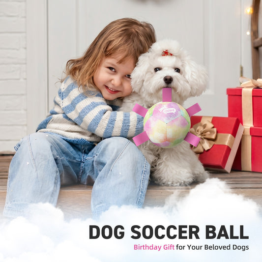 Gradient Rainbow Dog Soccer Ball with Straps | Small Dogs – 5 inch