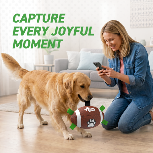 Dog Football Toy with Straps｜Large Dogs – 8 inch