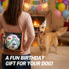 White World Cup Lines Dog Soccer Ball with Straps | Large Dogs – 8 inch