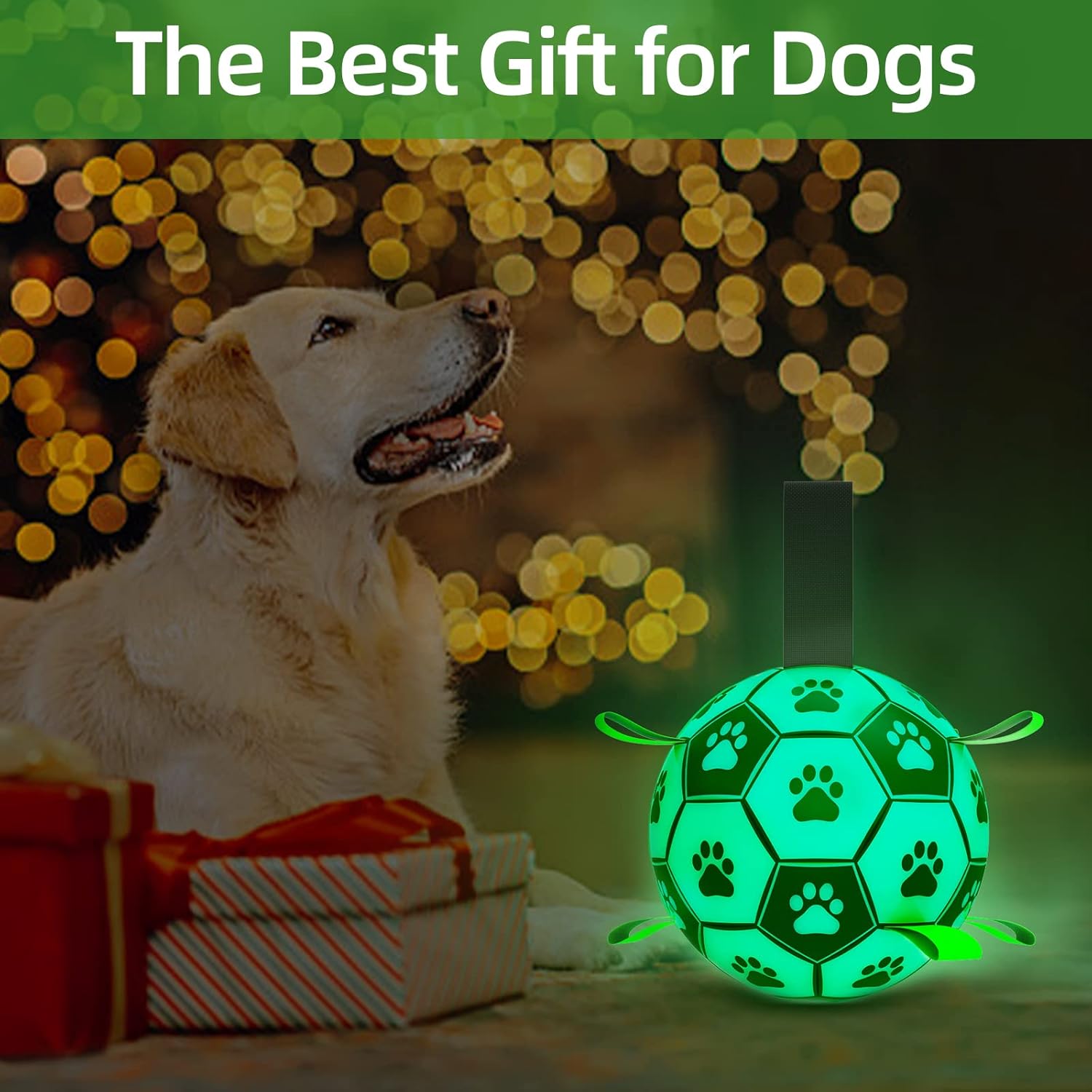 QDAN Premium Dog Ball, Glow in The Dark Dog Toys, Light Up Soccer Ball for Dogs, Outdoor Dog Toys, Doggy Water Toy, Puppy Birthday Gifts for Small Medium (6 Inch)