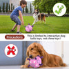 Lilac Dog Soccer Ball with Straps | Medium Dogs – 6 inch