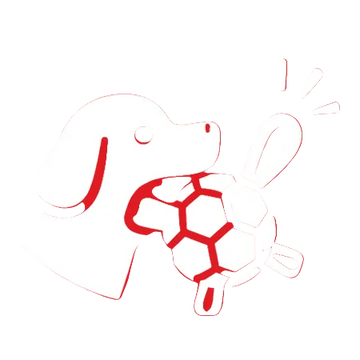 White dog and turtle illustration on a red background