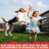Red Cartoon Chicken Dog Soccer Ball with Straps | Small Dogs – 5 inch