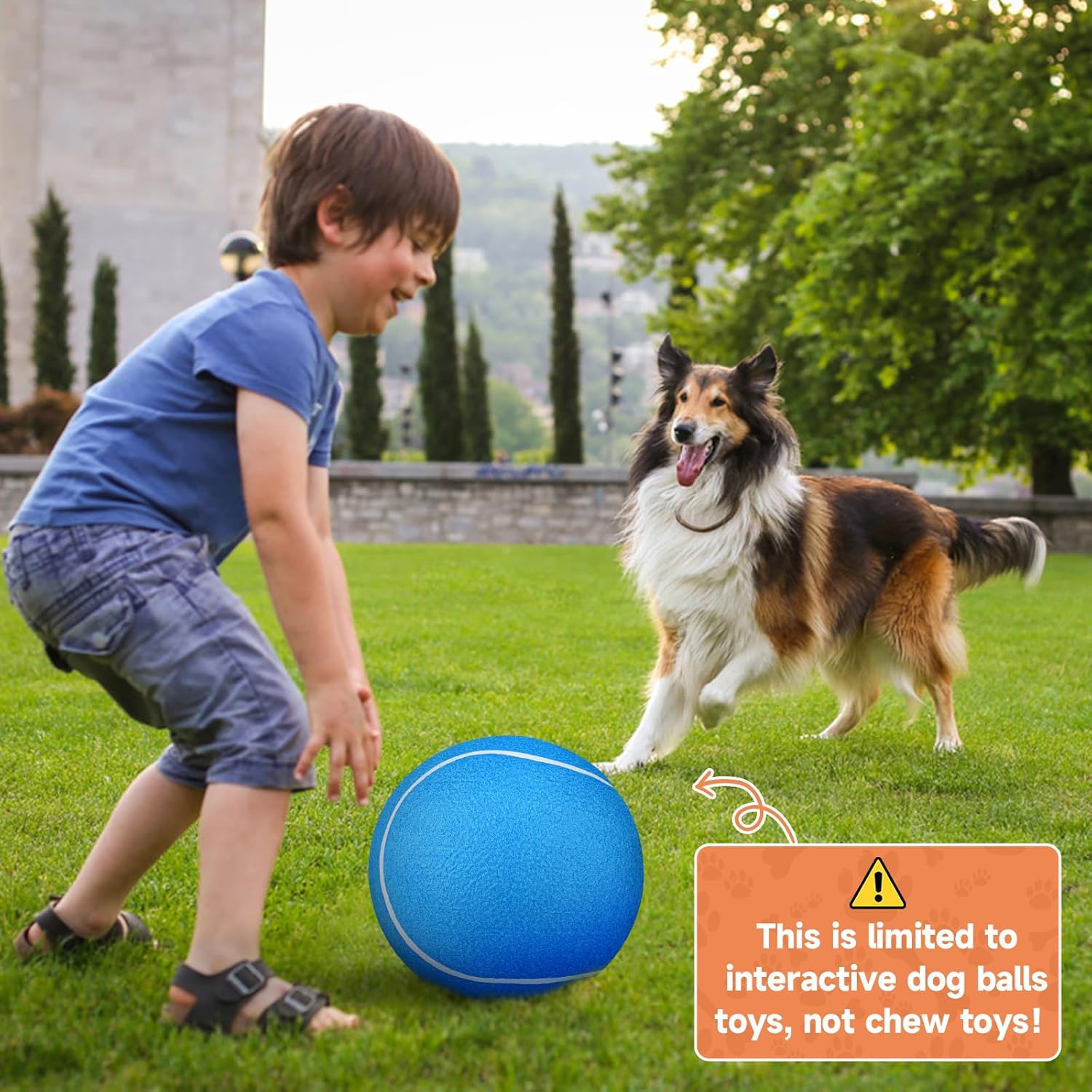 QDAN Giant Large Tennis Ball for Dogs: 9.5" Big Ball for Dogs for Outdoor Play, Big Tennis Balls Dog Toy, Tennis Balls for Small Medium Large Dog, Blue