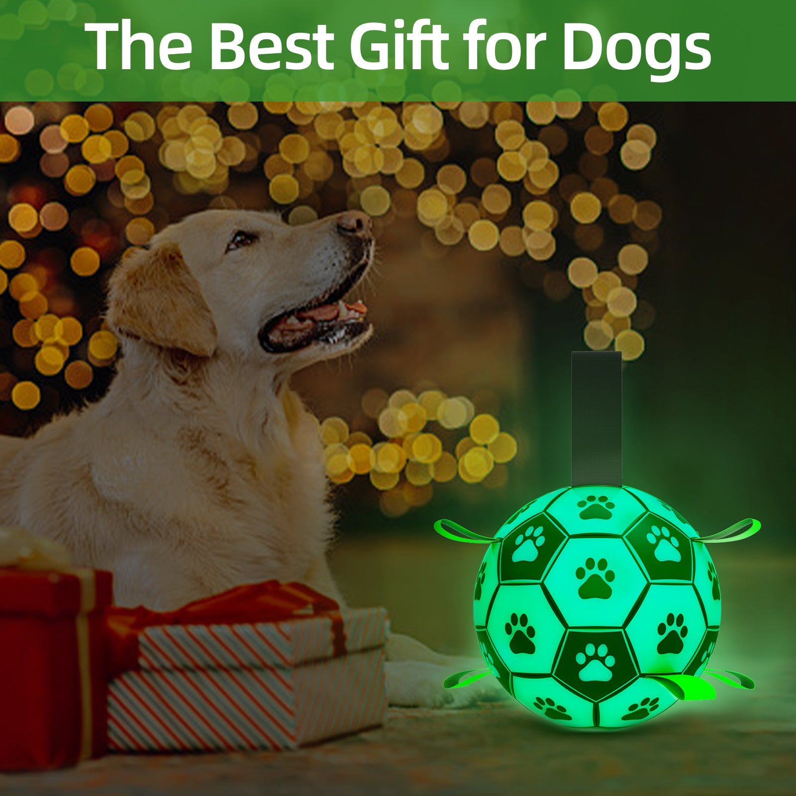 QDAN Glow in The Dark Dog Toys Soccer Ball, Interactive Dog Toys Puppy Birthday Gifts, Dog Tug Water Toy, Indoor/Outdoor Light Up Dog Balls for Small & Medium & Lager Dogs（6inch&8inch）