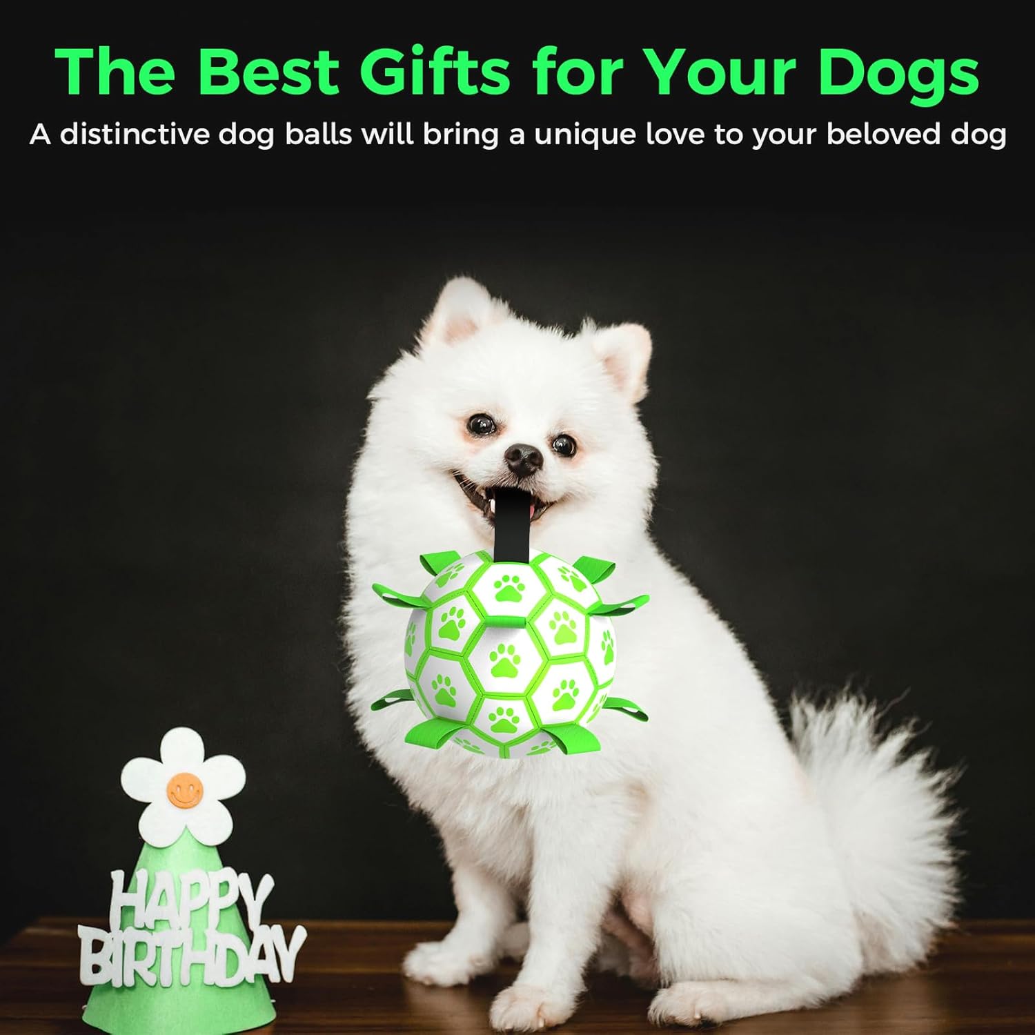 QDAN Premium Dog Ball, Glow in The Dark Dog Toys, Soccer Ball for Dogs, Outdoor Dog Toys, Pet Water Toy, Puppy Birthday Gifts, Puppy Essentials for Small Medium (6 Inch)