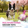 Gradient Rainbow Dog Soccer Ball with Straps | Large Dogs – 8 inch
