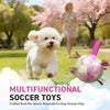 Gradient Rainbow Dog Soccer Ball with Straps | Medium Dogs – 6 inch