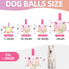 Gradient Rainbow Dog Soccer Ball with Straps | Extra Large Dogs – 9 inch