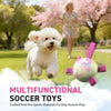 Gradient Rainbow Dog Soccer Ball with Straps | Small Dogs – 5 inch
