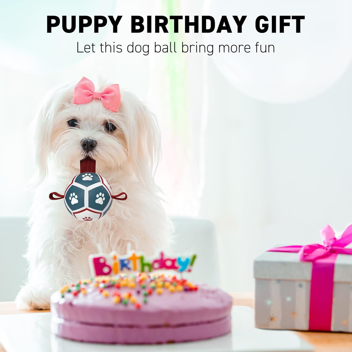 QDAN Small Dog Toys, Puppy Balls, Dog Balls with Straps for Small Breed, Soccer Ball for Dogs, Puppy Toys, Dog Birthday Gift (Blue Red, 3.5 inch)