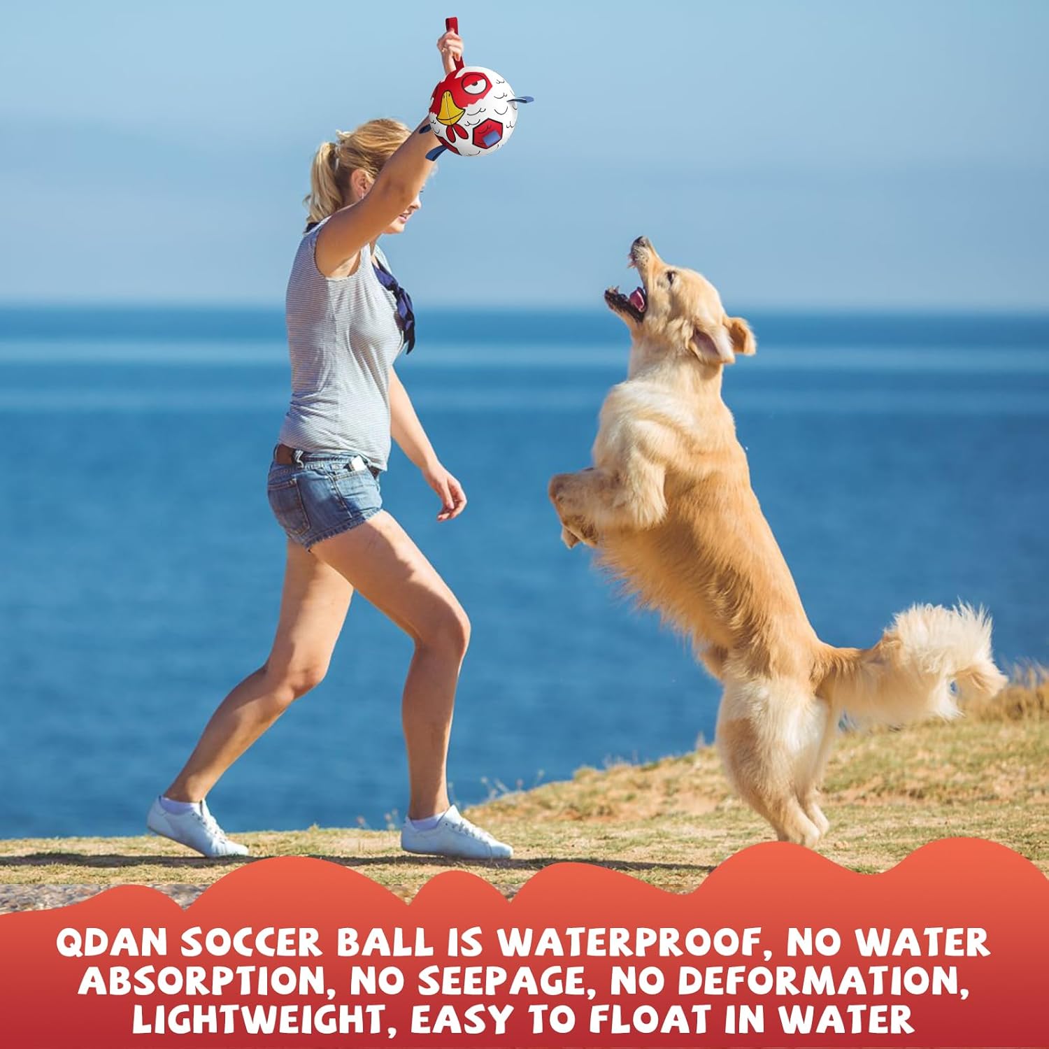 QDAN Dog Toys Soccer Ball with Straps - Durable Extra Large Dog Balls, Beach Pool Water Toys, Herding Balls (9 Inch)