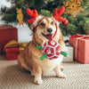 Red Christmas Dog Soccer Ball with Straps | Small Dogs – 5 inch