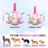 Gradient Rainbow Dog Soccer Ball with Straps | Medium Dogs – 6 inch