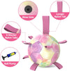 Gradient Rainbow Dog Soccer Ball with Straps | Extra Large Dogs – 9 inch