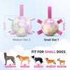 Gradient Rainbow Dog Soccer Ball with Straps | Small Dogs – 5 inch