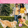 Pink Pig Dog Soccer Ball with Straps | Large Dogs – 8 inch