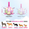 Gradient Rainbow Dog Soccer Ball with Straps | Large Dogs – 8 inch