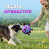 Purple Blue Dog Soccer Ball with Straps | Large Dogs – 8 inch