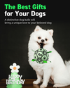 Mint Glow Green Dog Soccer Ball with Straps | Large Dogs – 8 inch