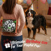 Classic Black & White Dog Soccer Ball with Straps | Giant Dogs – 10 inch