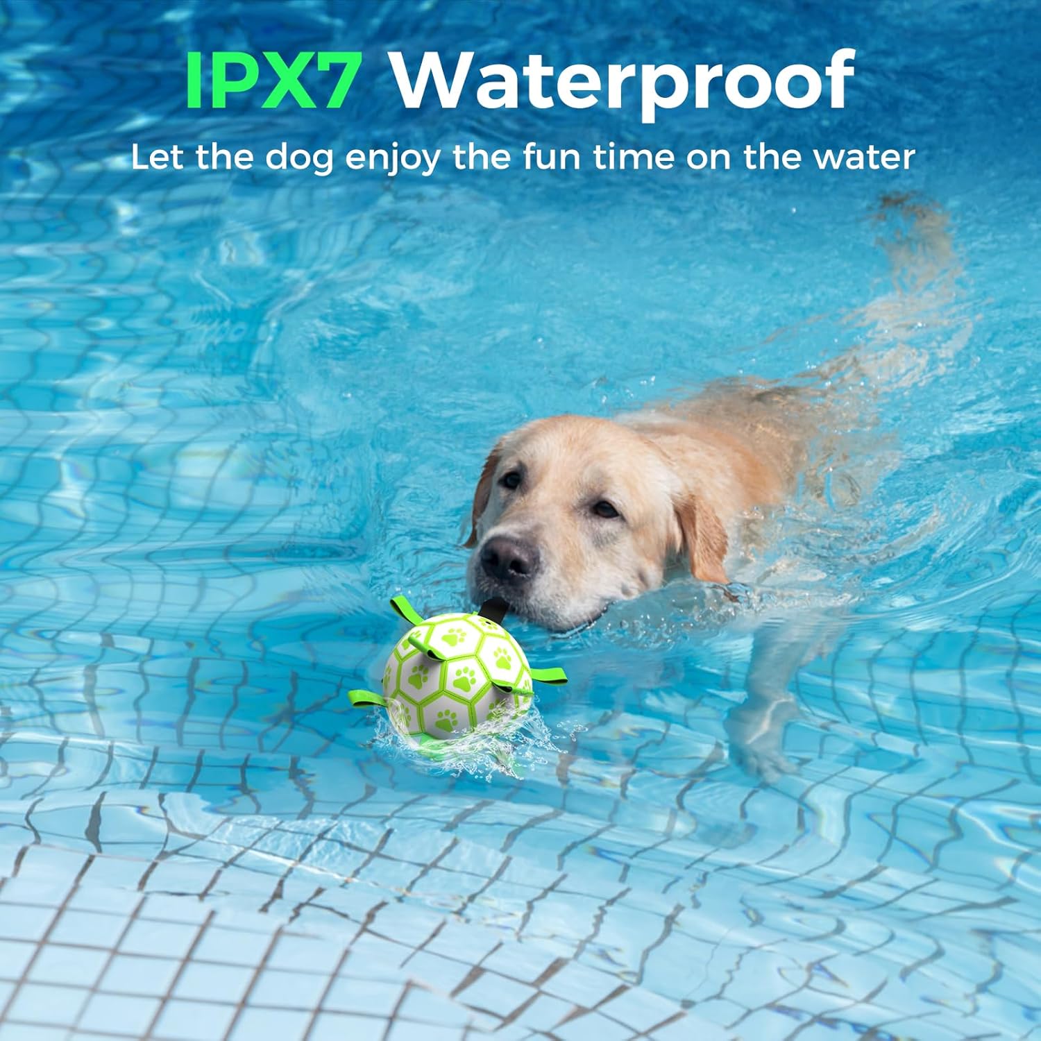 QDAN Premium Dog Ball, Glow in The Dark Dog Toys, Soccer Ball for Dogs, Outdoor Dog Toys, Pet Water Toy, Puppy Birthday Gifts, Puppy Essentials for Small Medium (6 Inch)