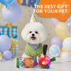 Rainbow Dog Soccer Ball with Straps | Small Dogs – 5 inch