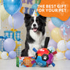 Rainbow Dog Soccer Ball with Straps – 5 inch to 8 inch