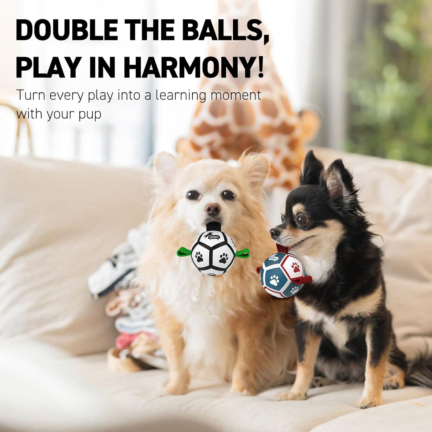 QDAN Small Dog Toys, Puppy Balls, Dog Balls with Straps for Small Breed, Soccer Ball for Dogs, Puppy Toys, Dog Birthday Gift (Pack of 2, 3.5 Inch)