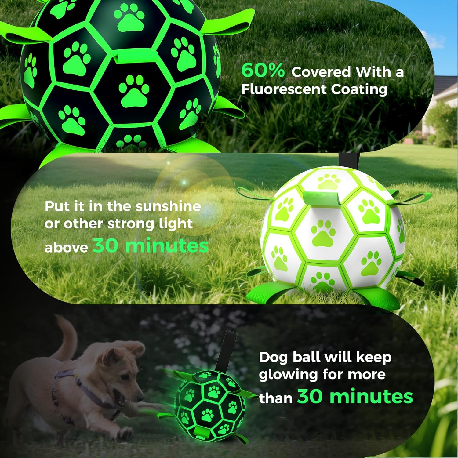 QDAN Premium Glow in The Dark Dog Toys, Dog Soccer Ball with Straps, Outdoor Herding Ball for Dogs, Pet Toys, Puppy Birthday Gifts, Light Up Dogs Balls for Medium Large (8 Inch)