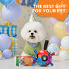 Rainbow Dog Soccer Ball with Straps | Medium Dogs – 6 inch