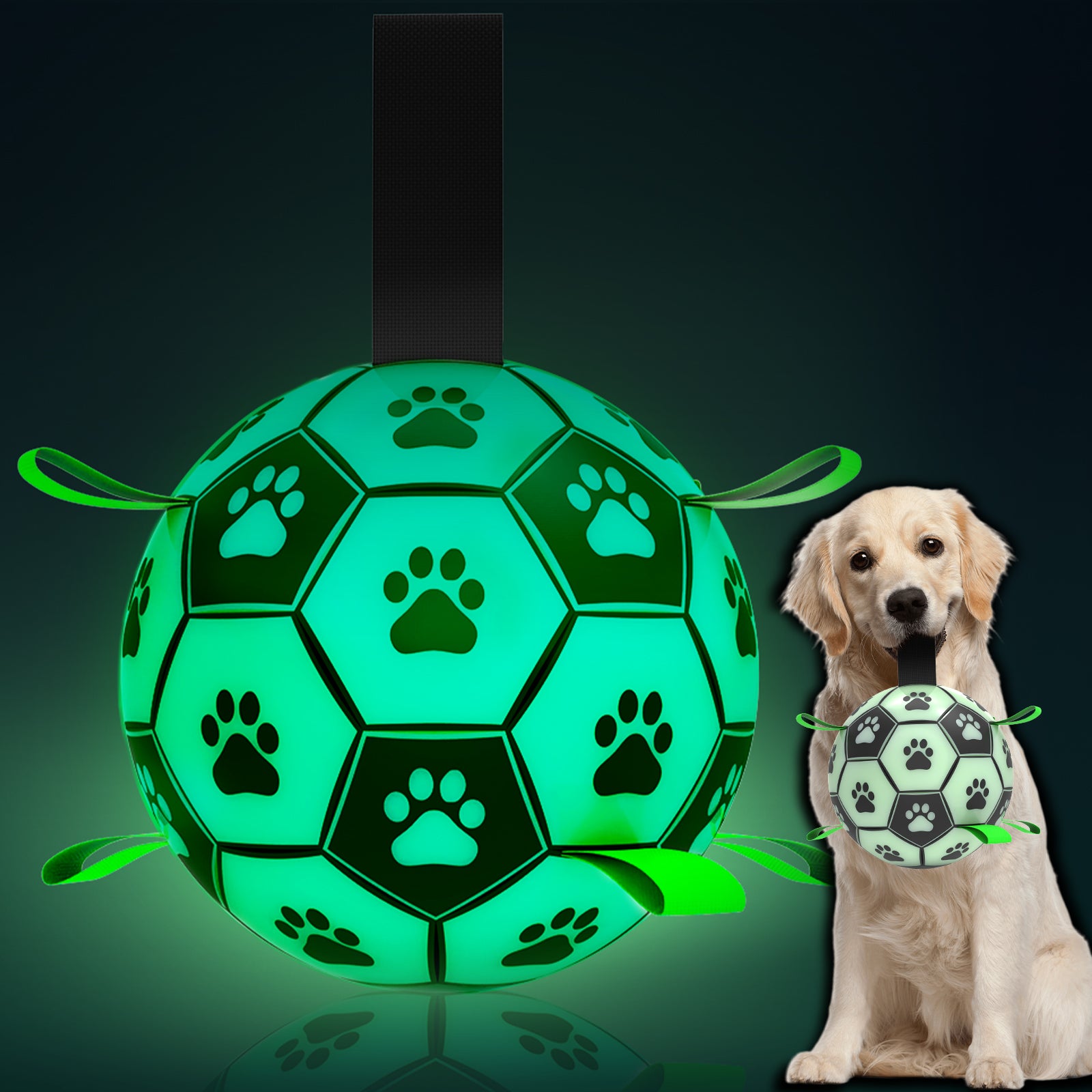 QDAN Glow in The Dark Dog Toys Soccer Ball, Interactive Dog Toys Puppy Birthday Gifts, Dog Tug Water Toy, Indoor/Outdoor Light Up Dog Balls for Small & Medium & Lager Dogs（6inch&8inch）