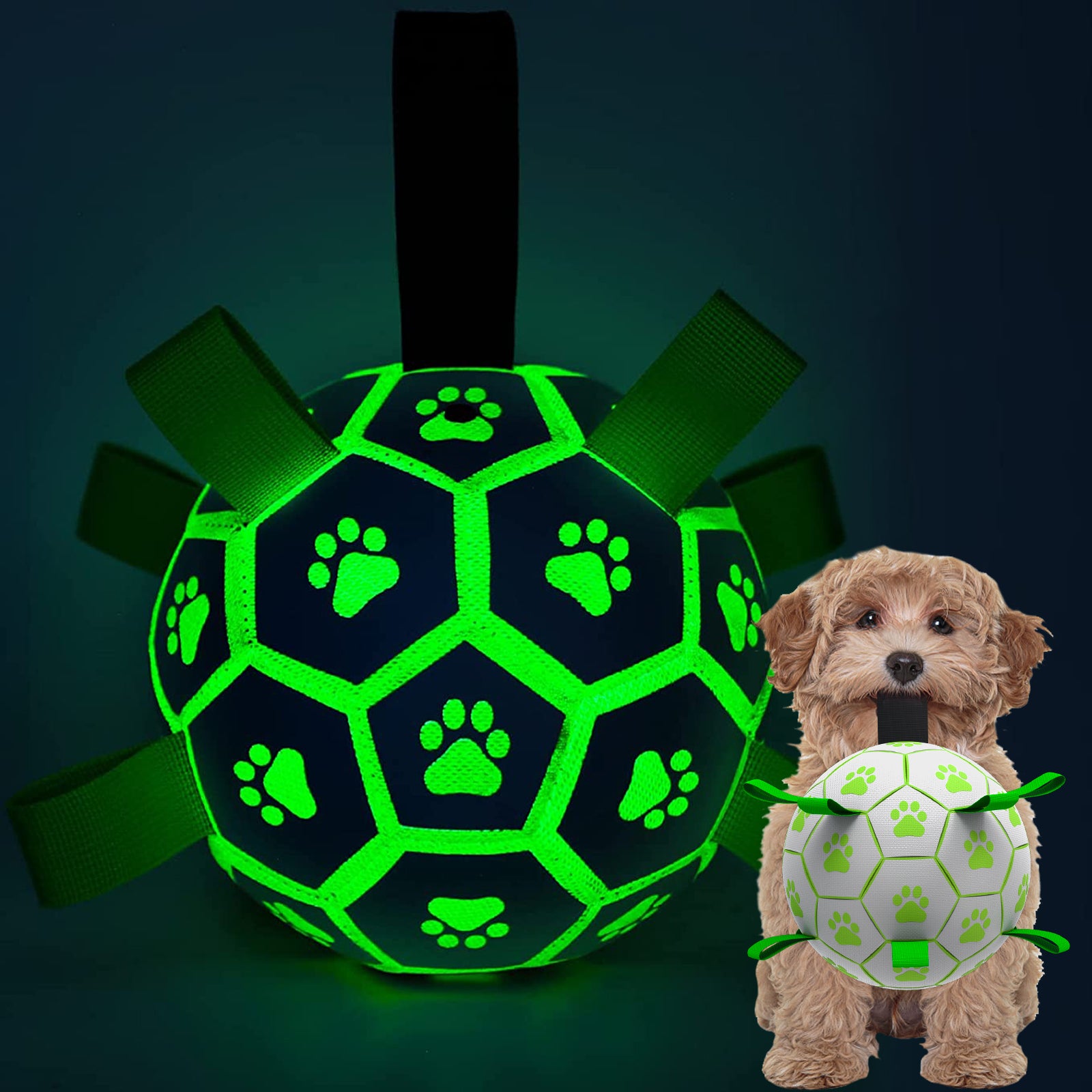 QDAN Glow in The Dark Dog Toys Soccer Ball, Interactive Dog Toys Puppy Birthday Gifts, Dog Tug Water Toy, Indoor/Outdoor Light Up Dog Balls for Small & Medium & Lager Dogs（6inch&8inch）
